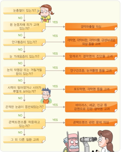 증상에 따른 감별질환 [출처-질병관리청]