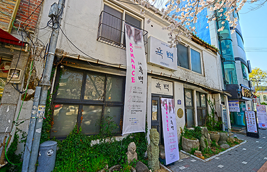 경화반점 이미지