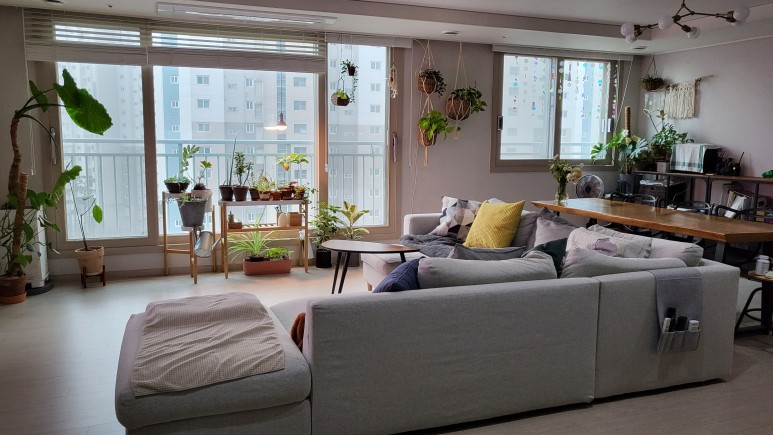 퓨처 그린 식물등으로! 21