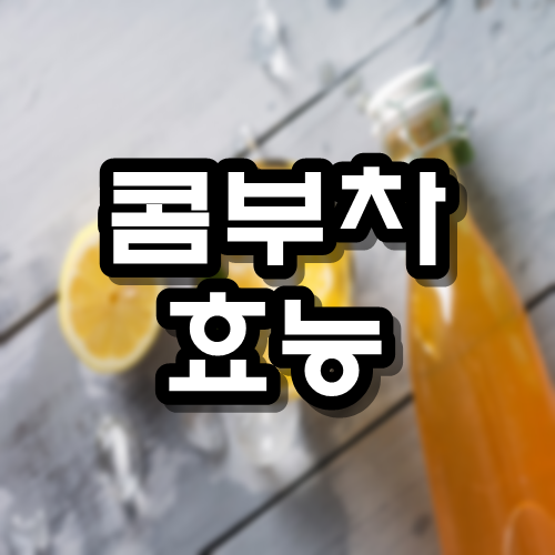  콤부차 효능