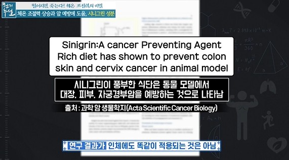 시니그린연구