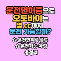  운전면허증 종류와 운전할 수 있는 차량 및 운전면허증으로 오토바이는 몇 cc까지 운전 가능한지 총정리