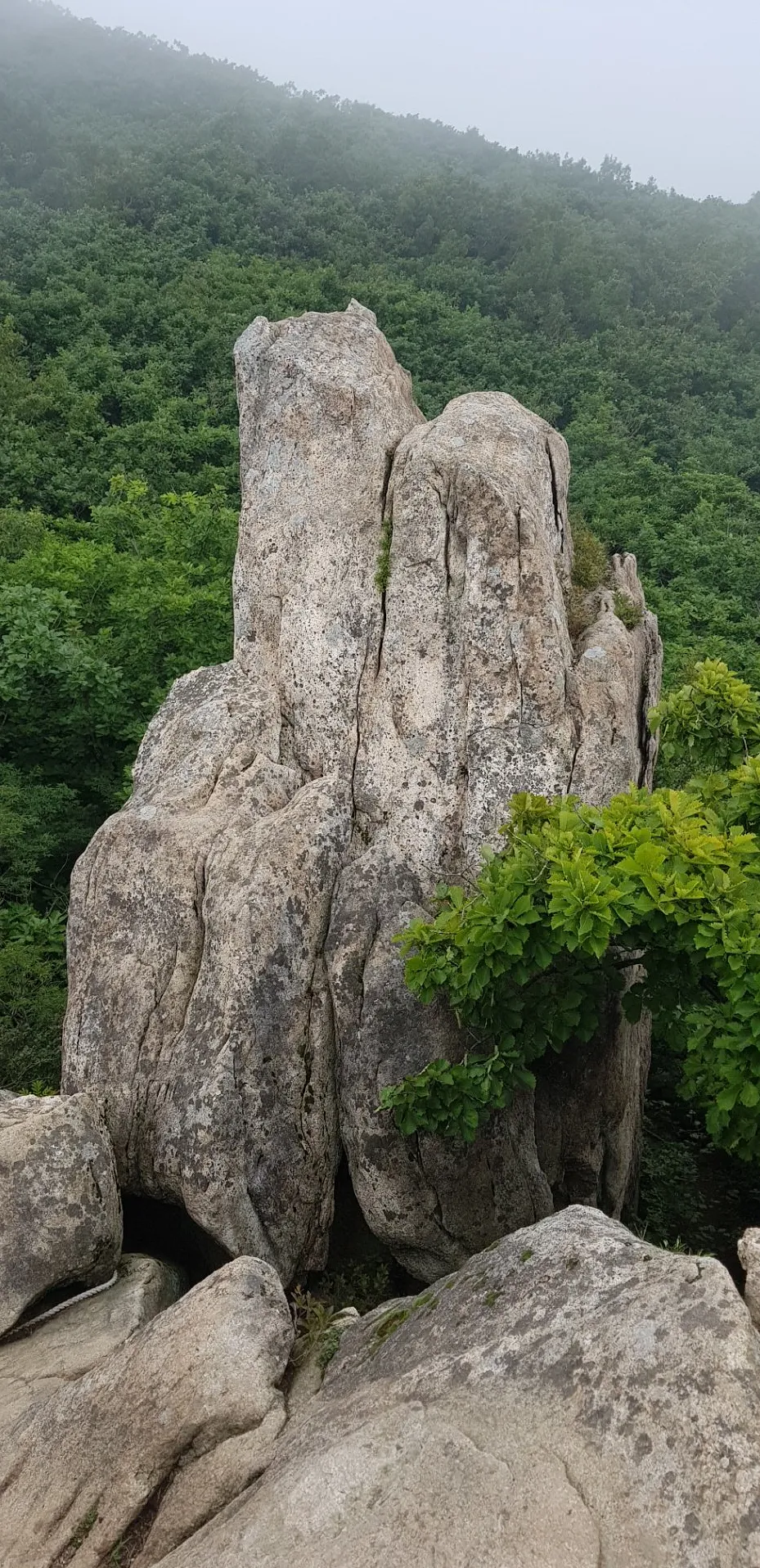 부산 금정산