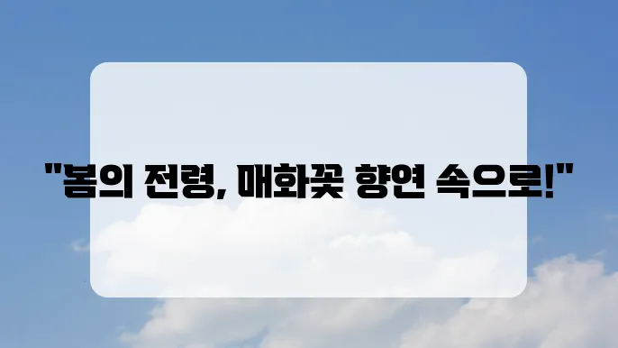 매화꽃 개화시기와 매화꽃 명소 5곳 추천