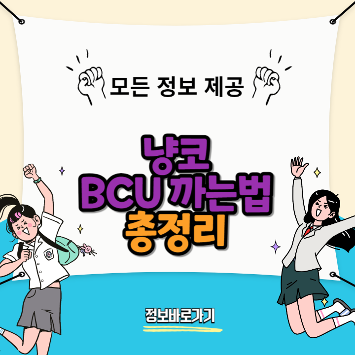 냥코-BCU-까는법