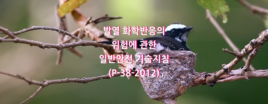  발열 화학반응의 위험에 관한 일반안전 기술지침(P-38-2012)