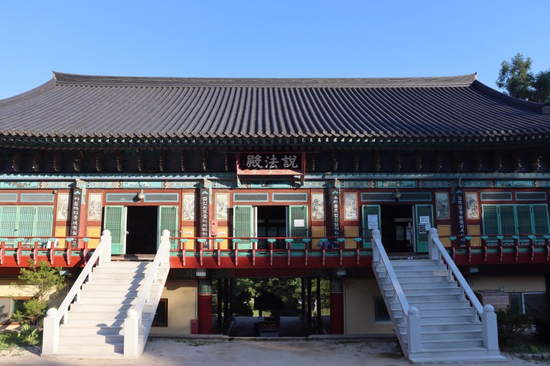 봉선사 연꽃 피는 시기 꽃놀이 합니다~경기도 연꽃축제 남양주여행
