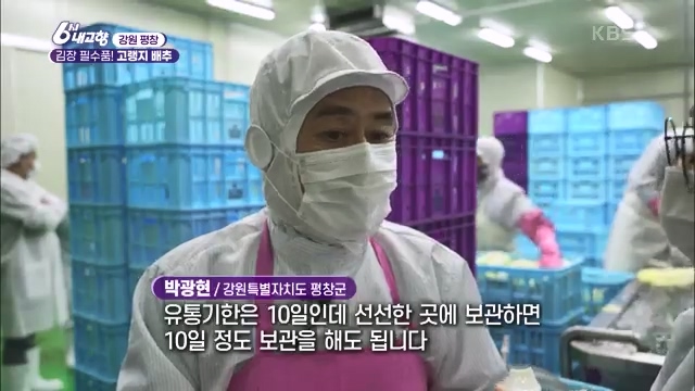 6시 내고향_김장의 필수품 평창 고랭지 배추 - 강원 평창 [슬기로운 두 반장] 슬기로운 어르신들을 찾아서 (충북 제천) [붕붕이가 간다] 철원에 무슨 일이 (강원 철원) [인생은 행복海] 우리는 환상의 사촌 (경남 통영).ts_20231117_202048.273.jpg