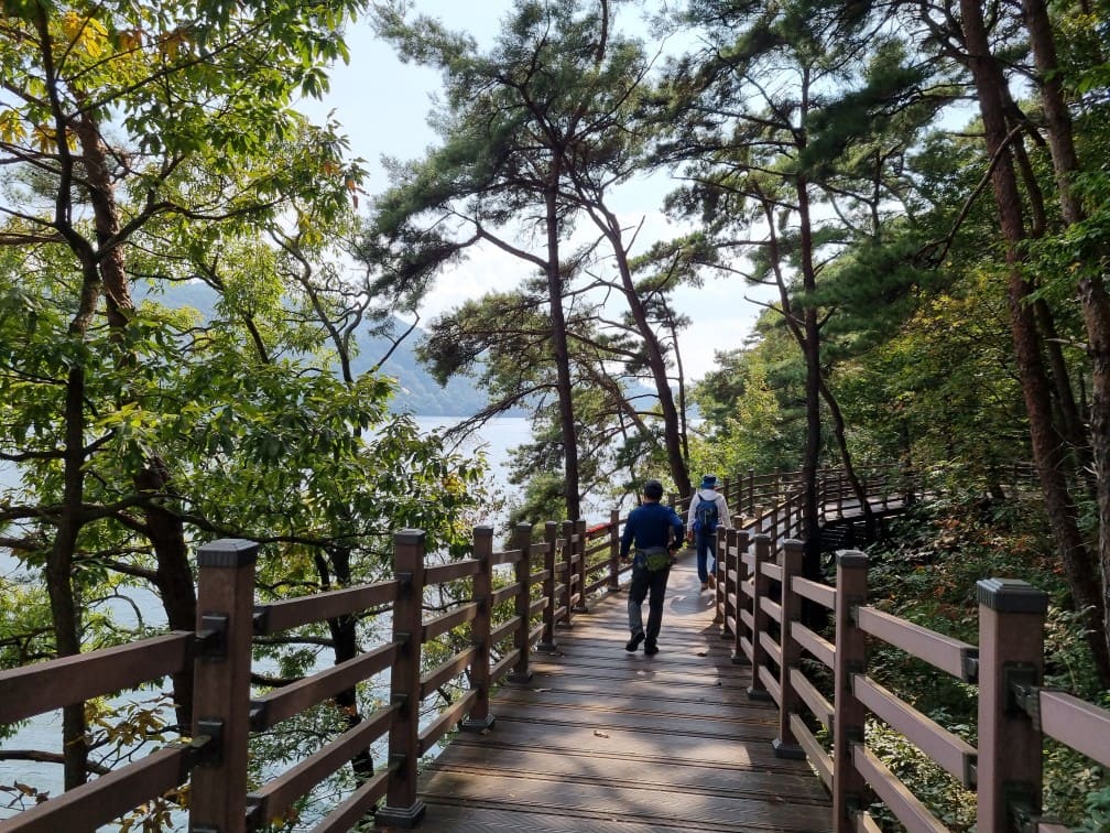 장성호 출렁다리