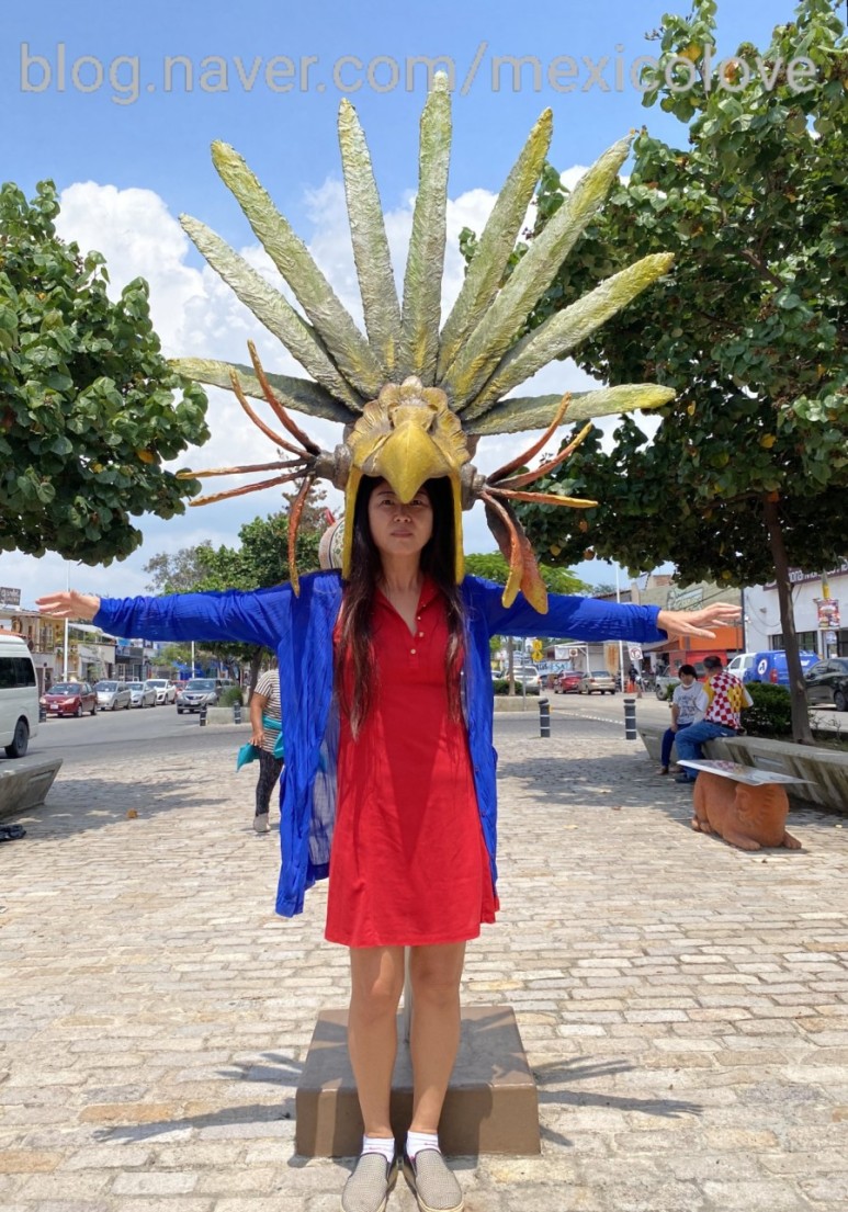 또날라 할리스코 23