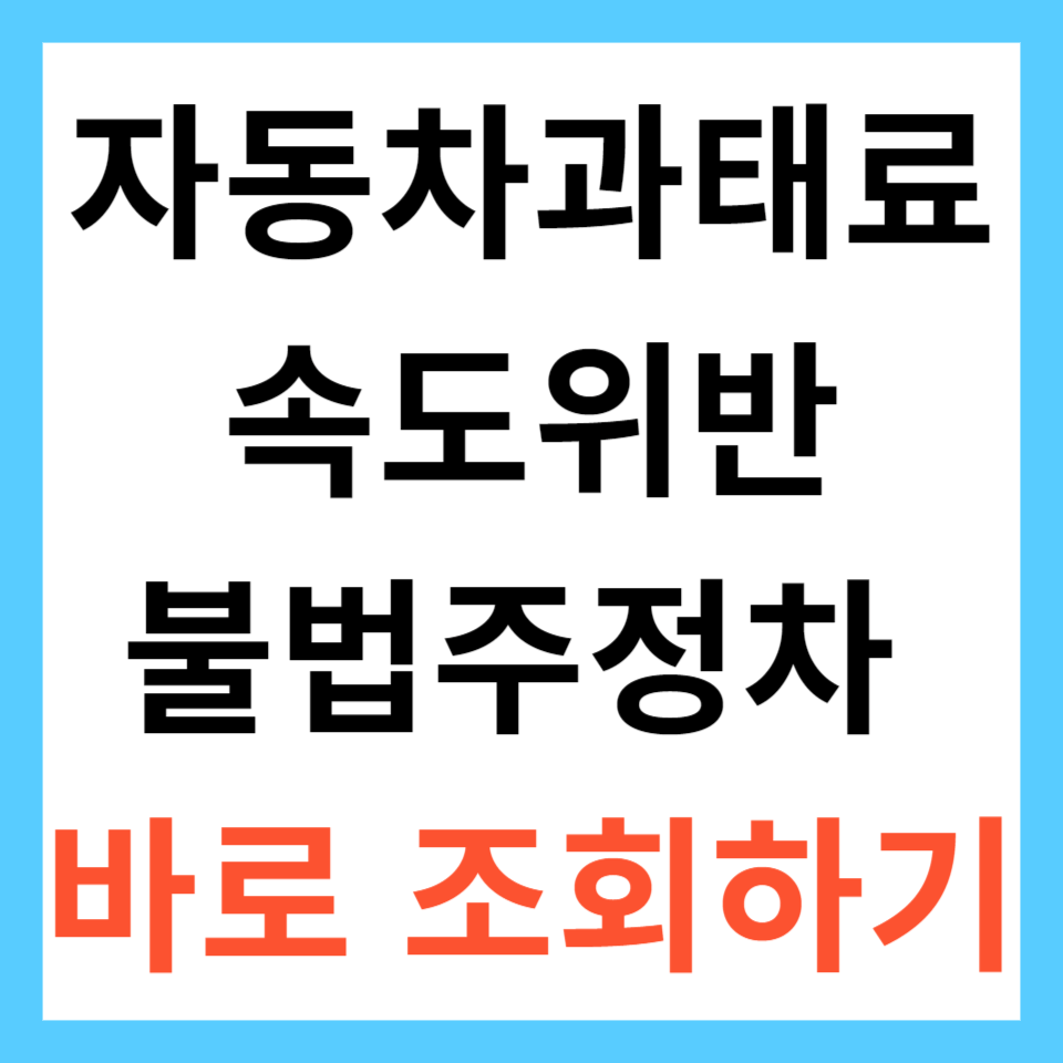 자동차 과태료 조회