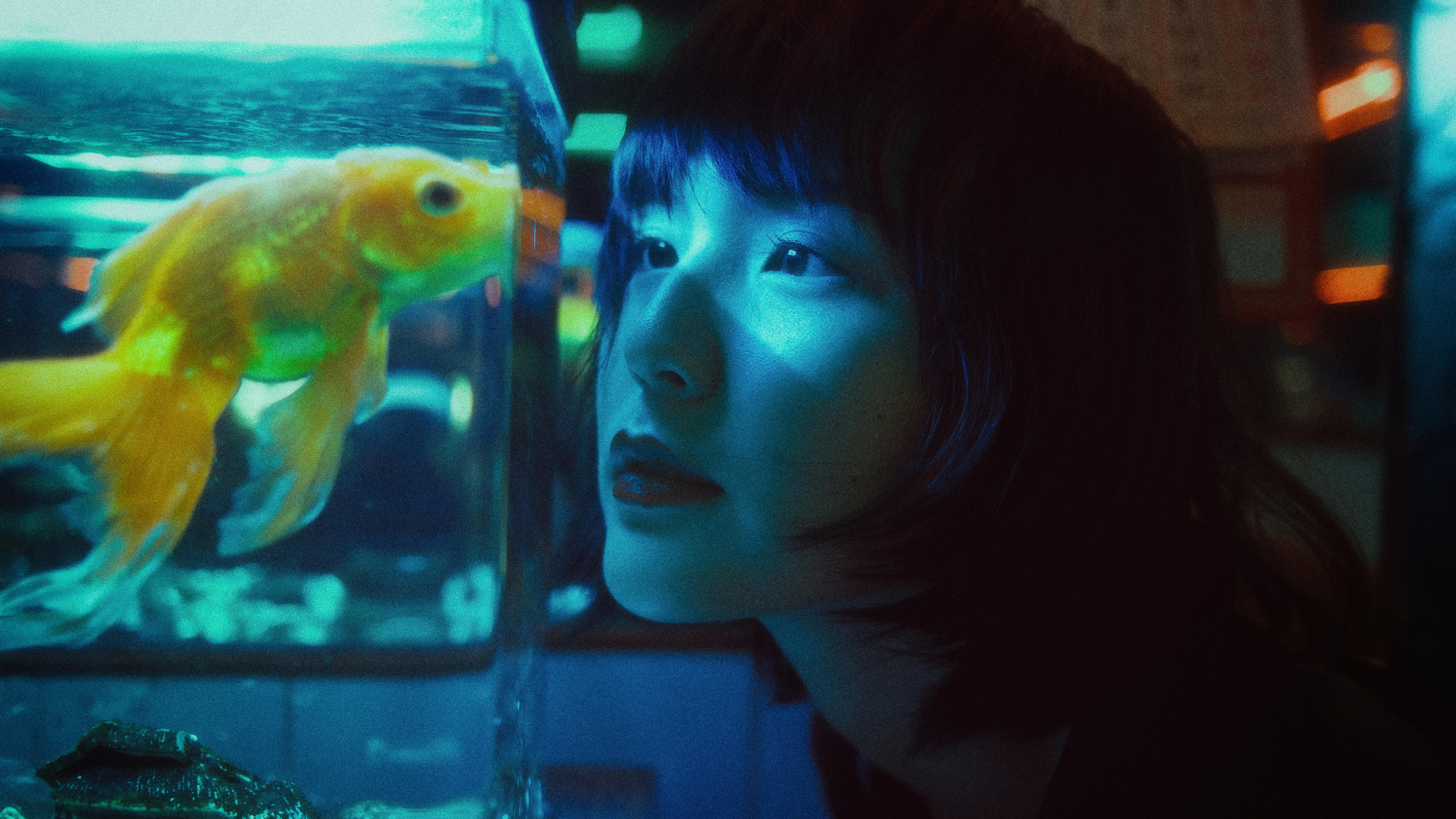 금붕어 이미지