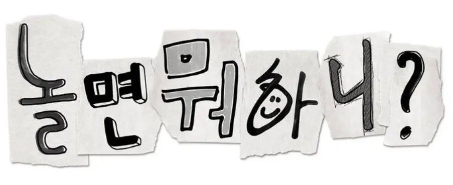 놀면뭐하니