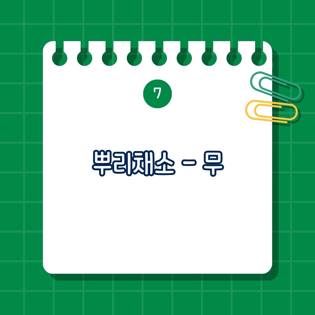 2월 제철 음식, 뿌리채소-무 효능은 소화 촉진, 해독 작용, 면역력 강화, 기관지 건강, 섭취 방법은 무국, 무조림, 동치미