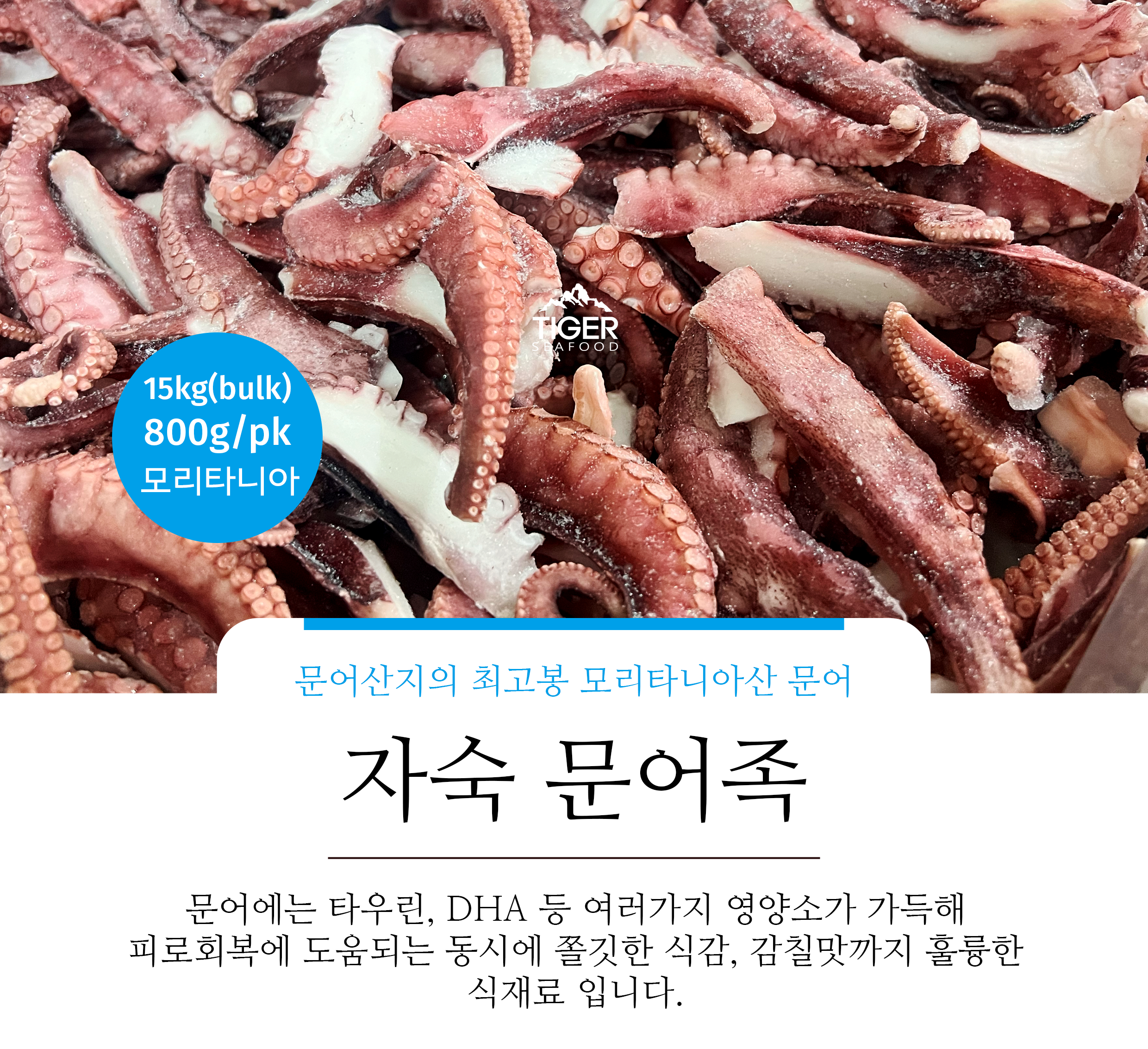 주식회사 타이거 이미지