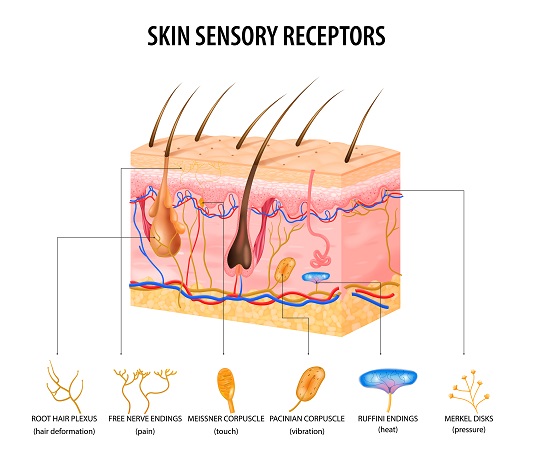 shrink-pores