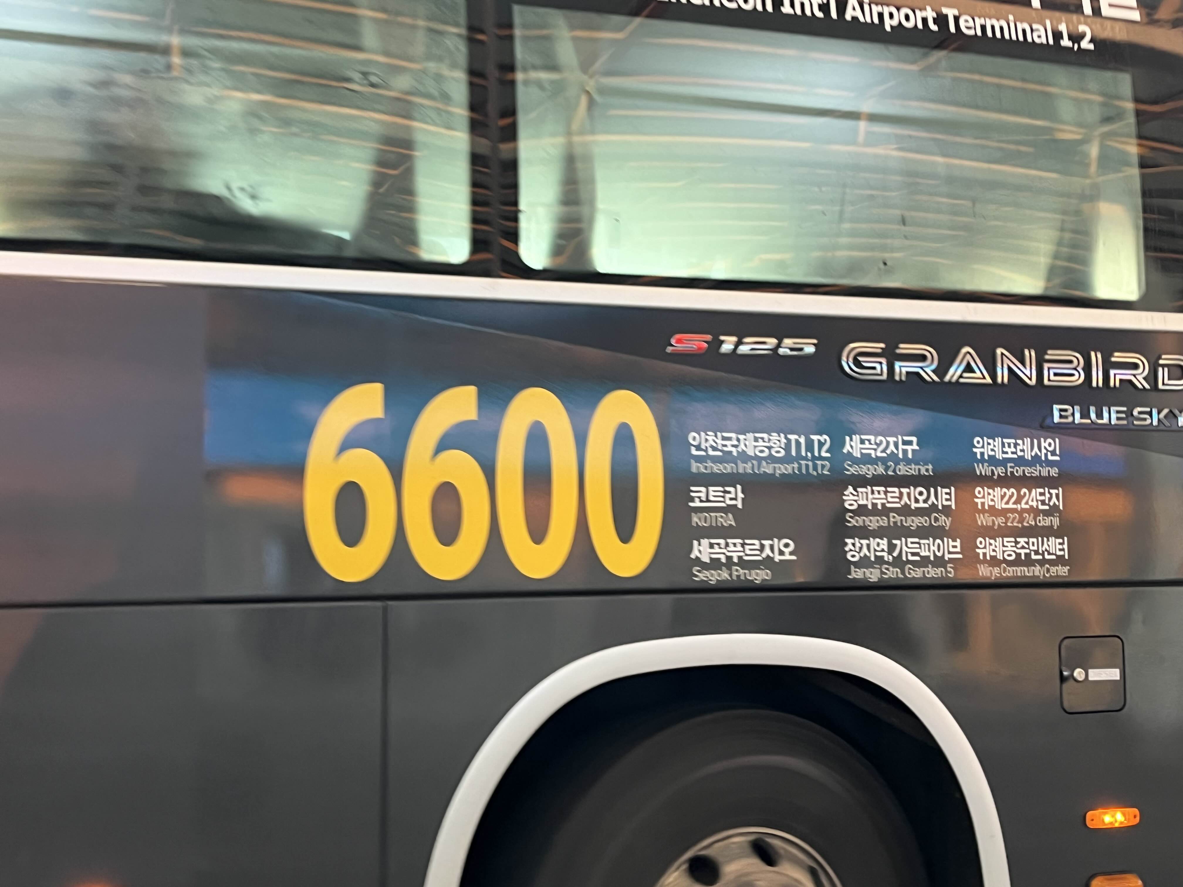 6600번버스