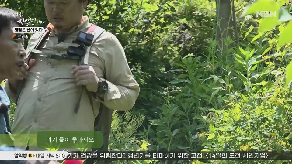 나는 자연인이다.E559.230621p.H264-F1RST.mp4_20230622_204015.742.jpg