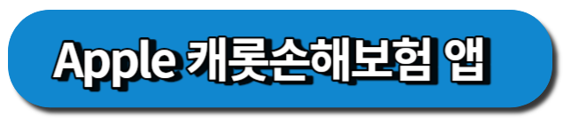 애플 캐롯손해보험 앱
