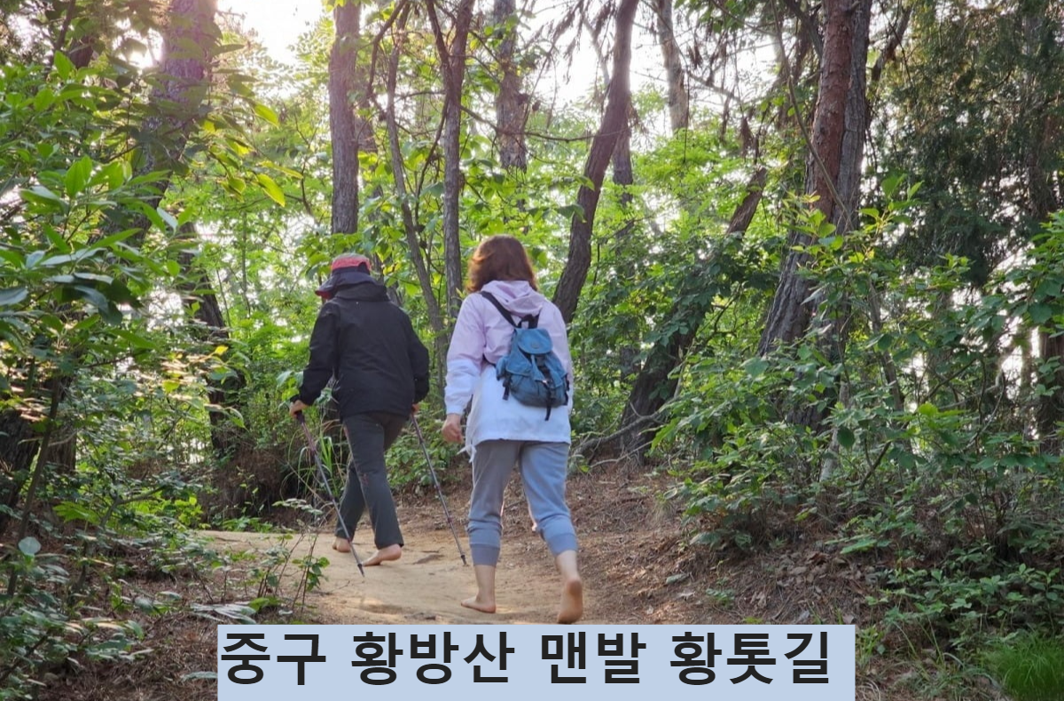 울산 중구 황방산 맨발 황톳길. 울산 중구청 제공