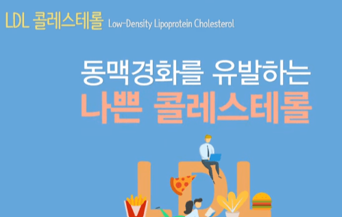 콜레스테롤의 종류