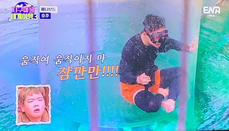 빠니 악어 체험