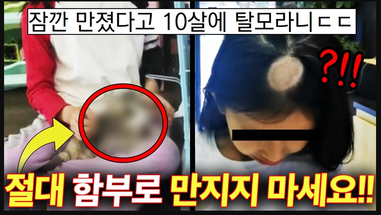  길거리에서 절대로 만지면 안되는 것 TOP4