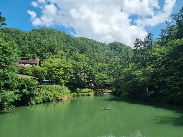 만인산자연휴양림-분수연못