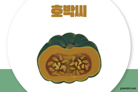 마그네슘 부족현상 마그네슘 많은 음식 10개 - 마그네슘 부족할 때 먹는 음식 - 호박씨 마그네슘 부족현상 마그네슘 많은 음식 10개 - 마그네슘 부족할 때 먹는 음식 - 호박씨