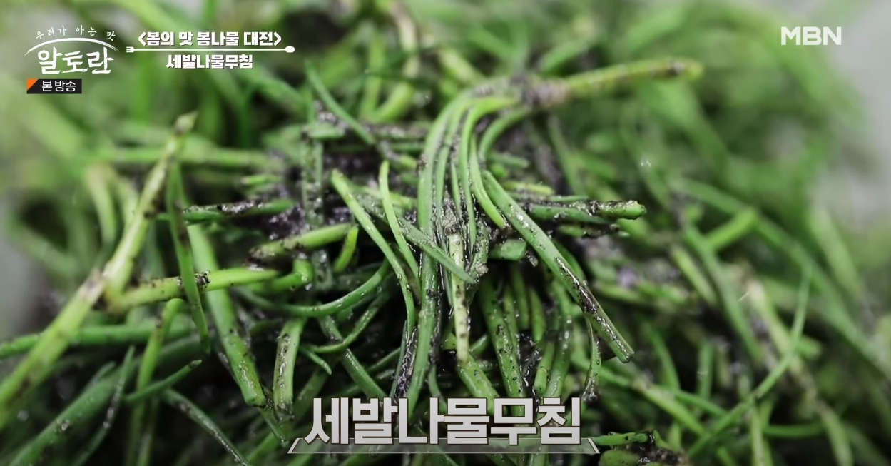알토란 세발나물무침 방송 캡쳐