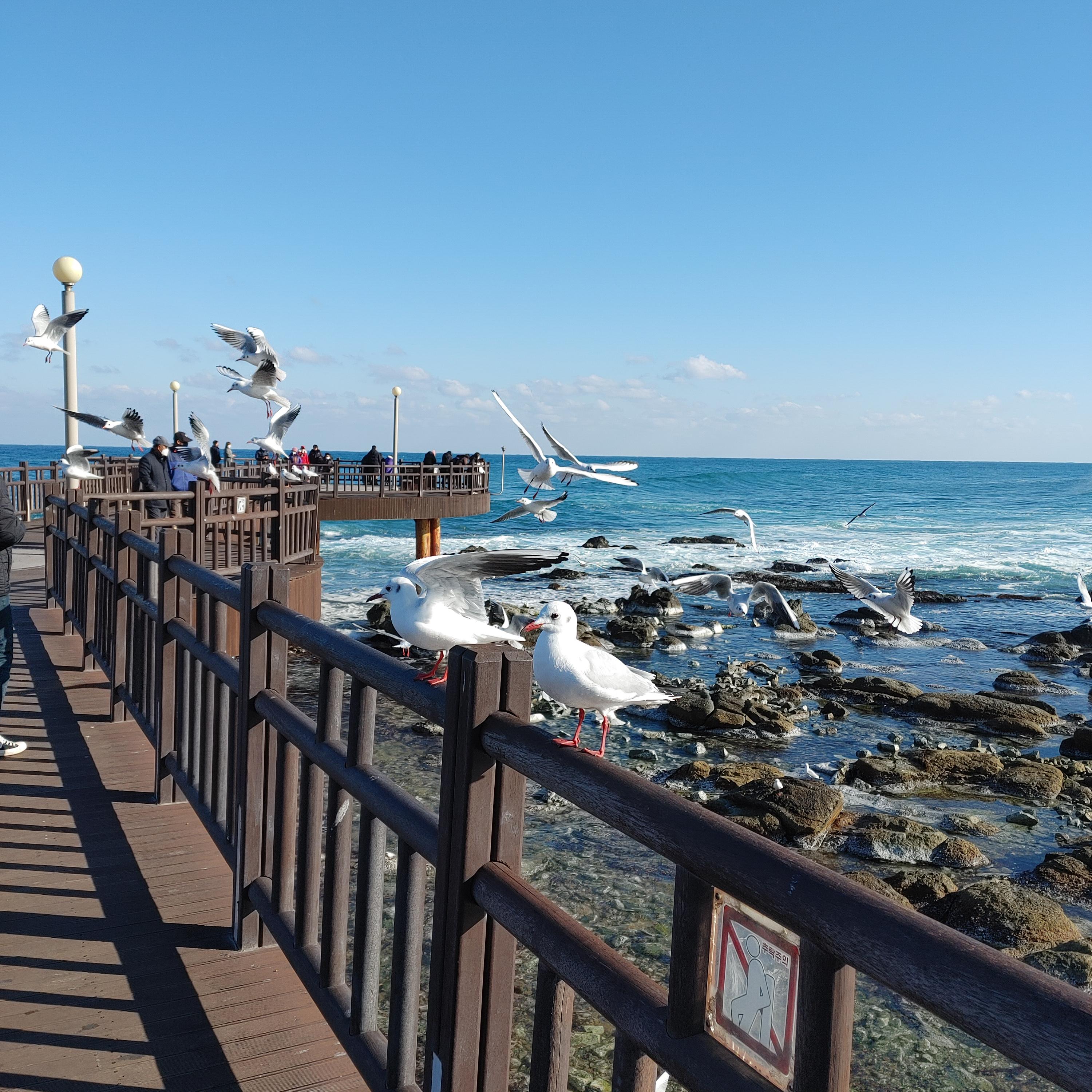  경주 and 포항여행