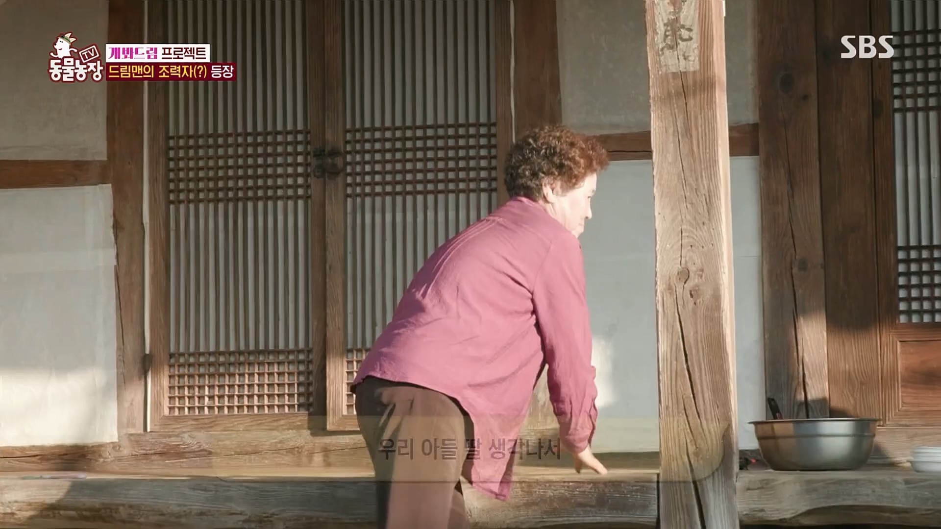 TV 동물농장.E1103.230108p.H264-F1RST.mp4_20230108_174645.886.jpg