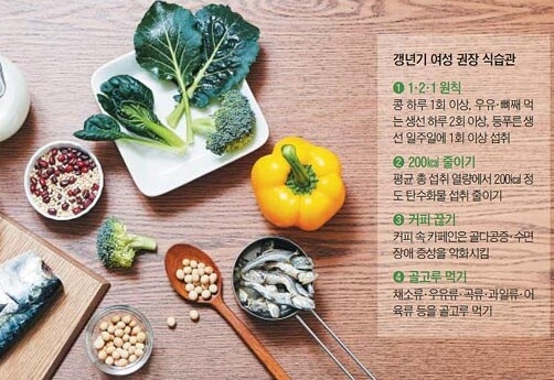 갱년기 증상