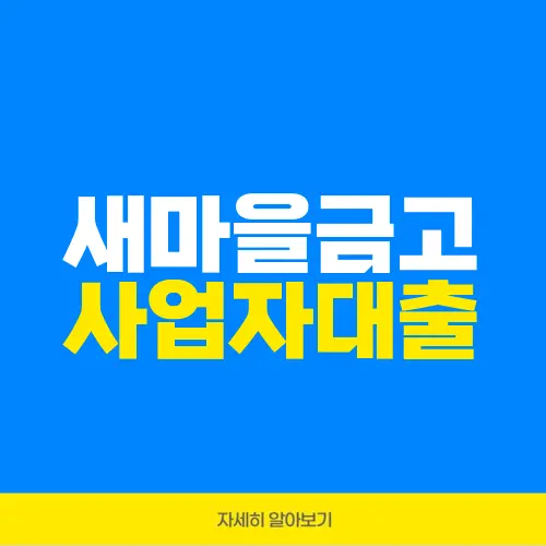 새마을금고 사업자대출