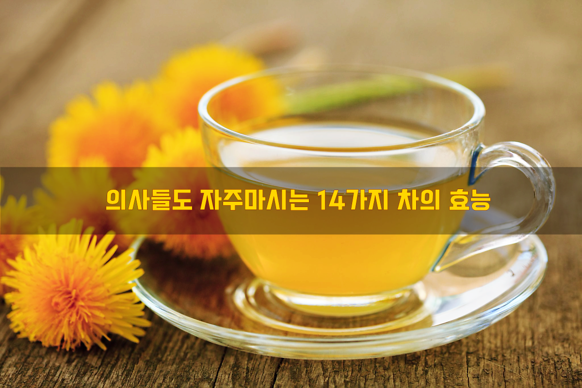 의사들도 자주마시는 14가지 차의 효능