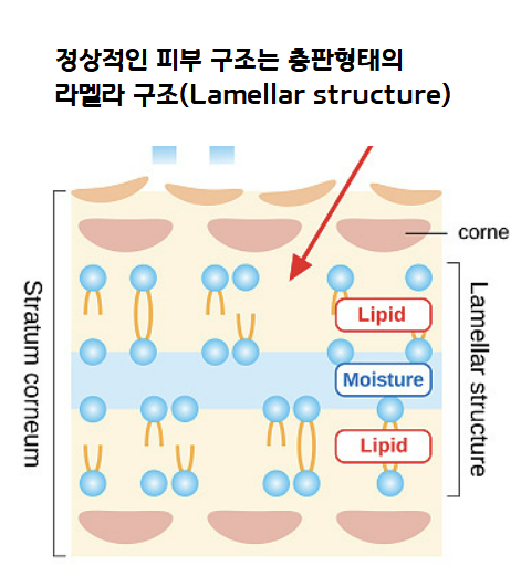 lamellar-structure