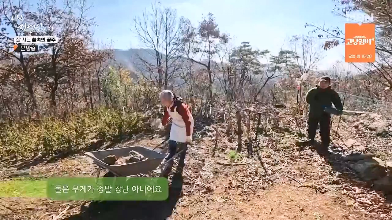 나는 자연인이다.E582.231130p-NEXT.mp4_20231130_200813.550.jpg