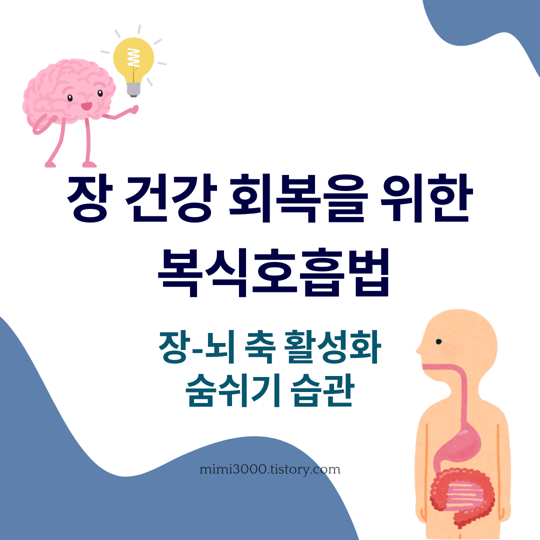 장건강 회복을 위한 복식호흡법 장뇌축 활성화하는 숨쉬기 습관 글의 대표사진