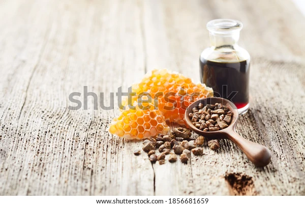 천연항생제 프로폴리스 효능