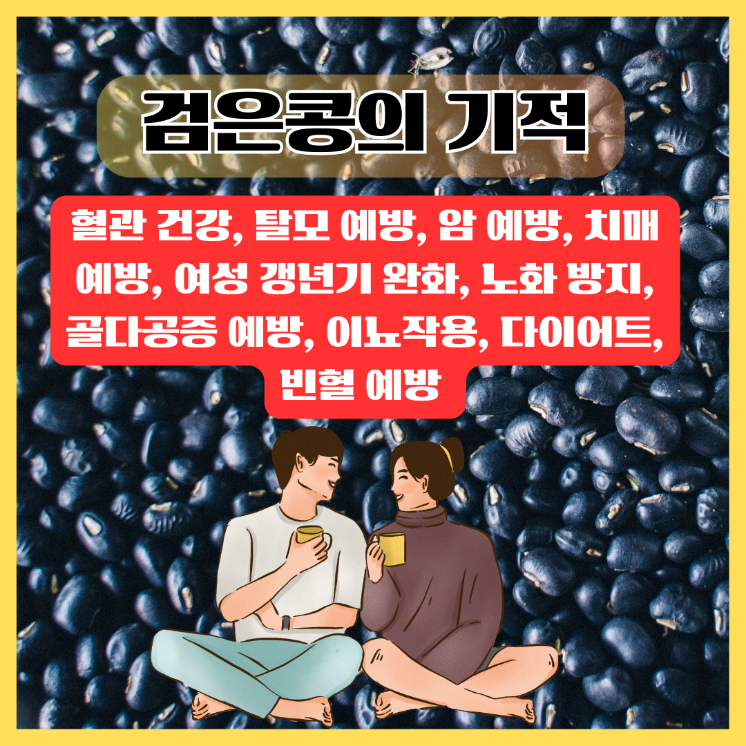 검은콩의 기적