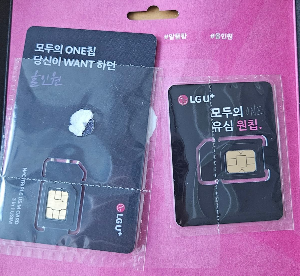 두개의원칩