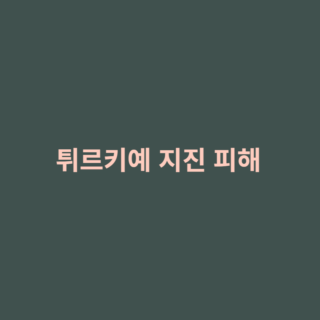 튀르키예