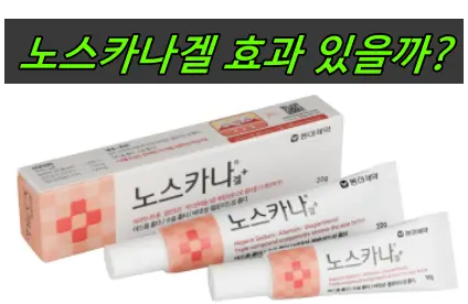 노스카나겔 효과