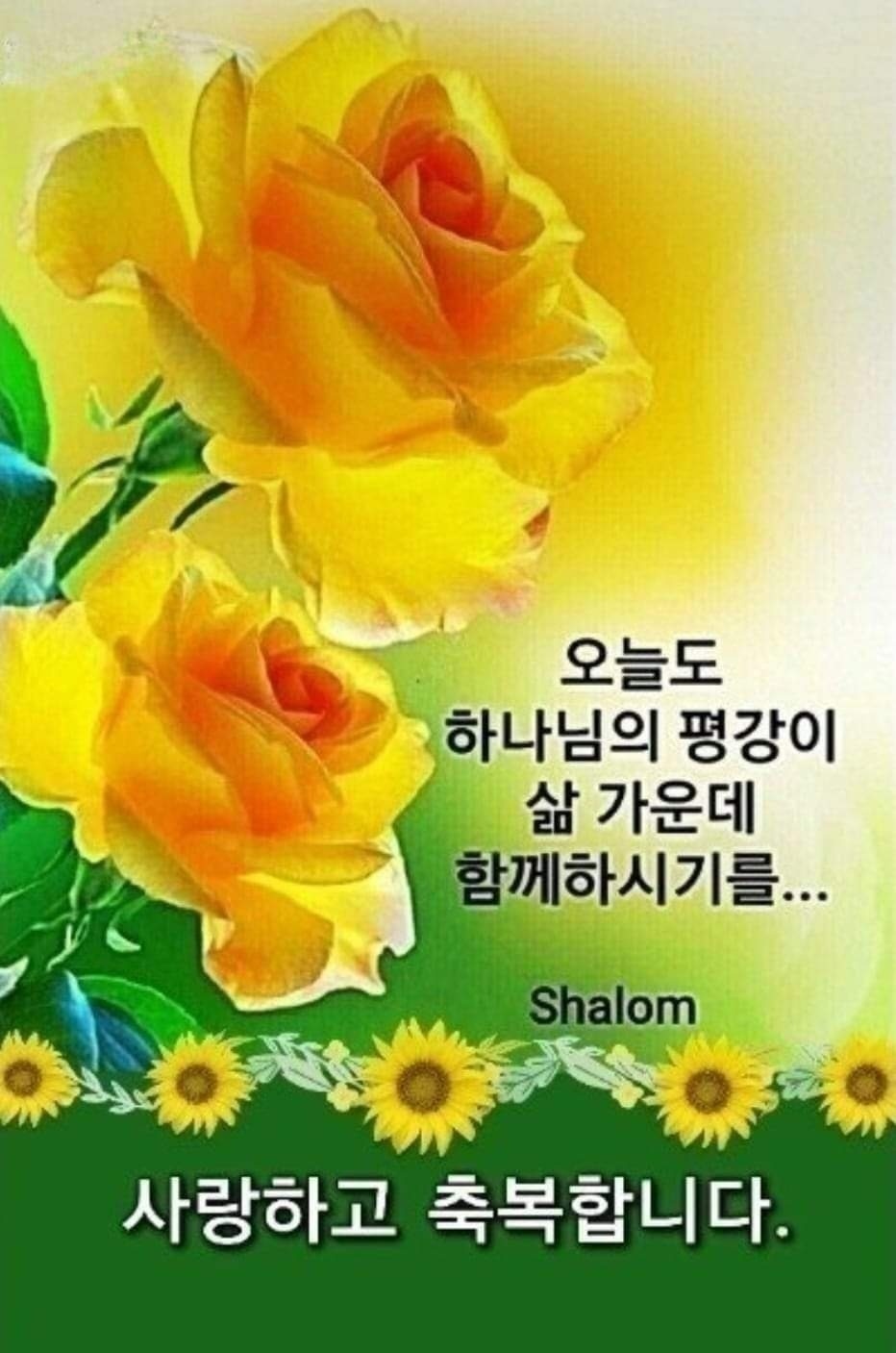 모란 이미지