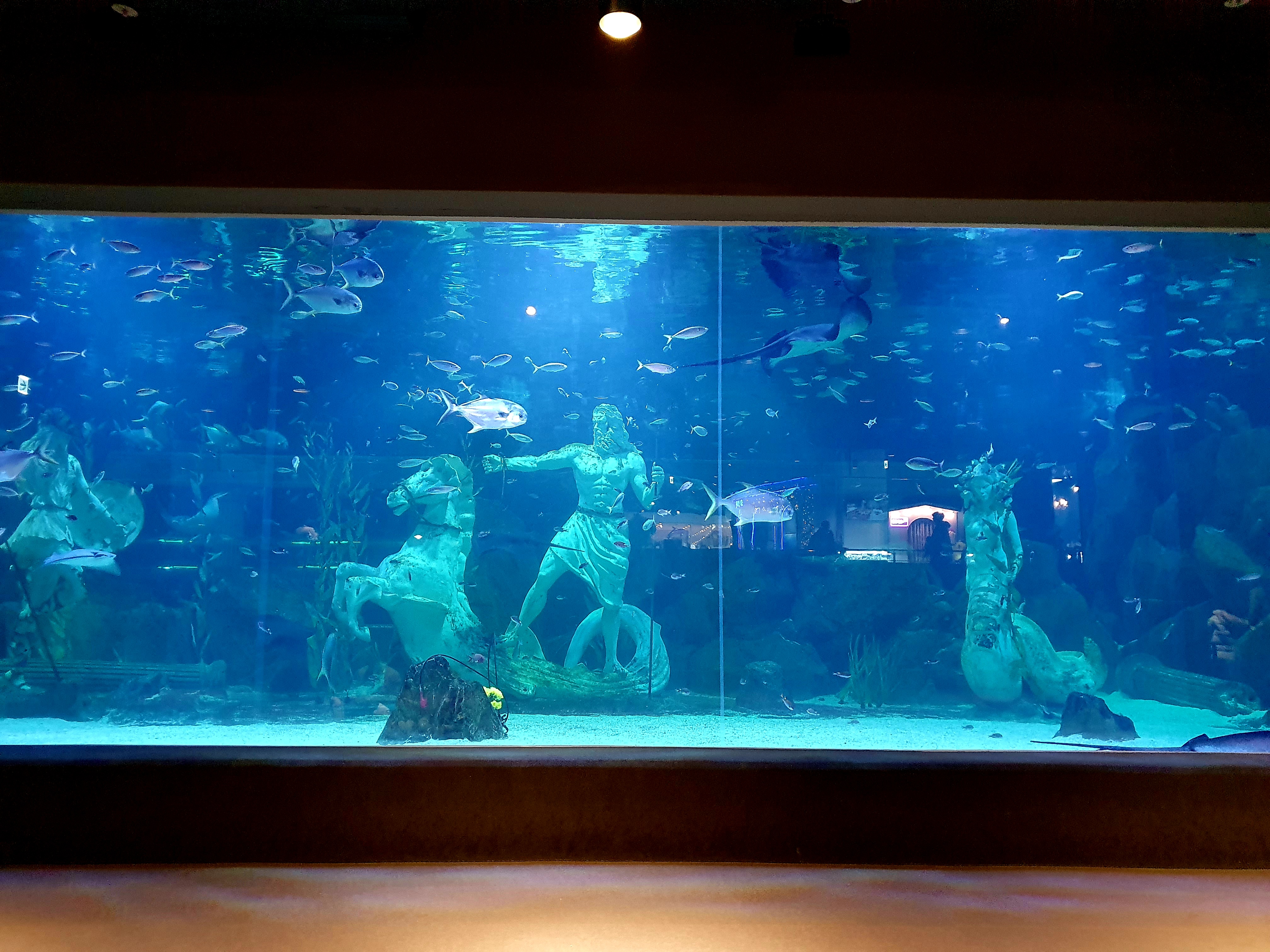 대전 엑스포 아쿠아리움 : 네이버 블로그, image size:4032x3024