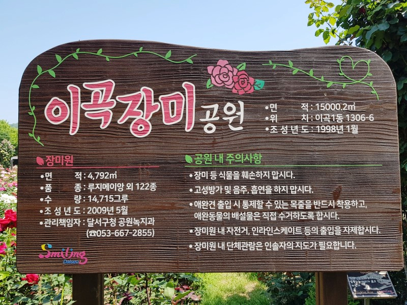 주말 가볼만한곳 베스트10 대구여행 가볼만한곳 팔공산 7