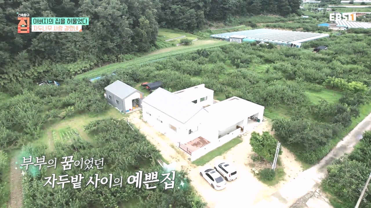 TV - 전 국민의 평생학교 EBS아버지의 집을 허물었다.mp4_20231019_204110.655.jpg