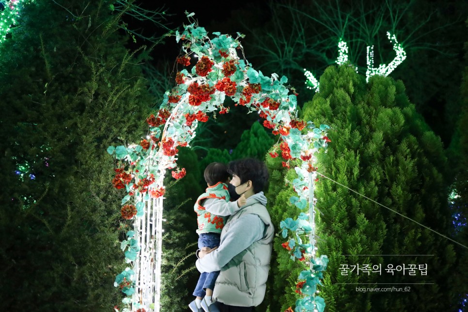 경북 축제 경북 아이와가볼만한곳 청도 46