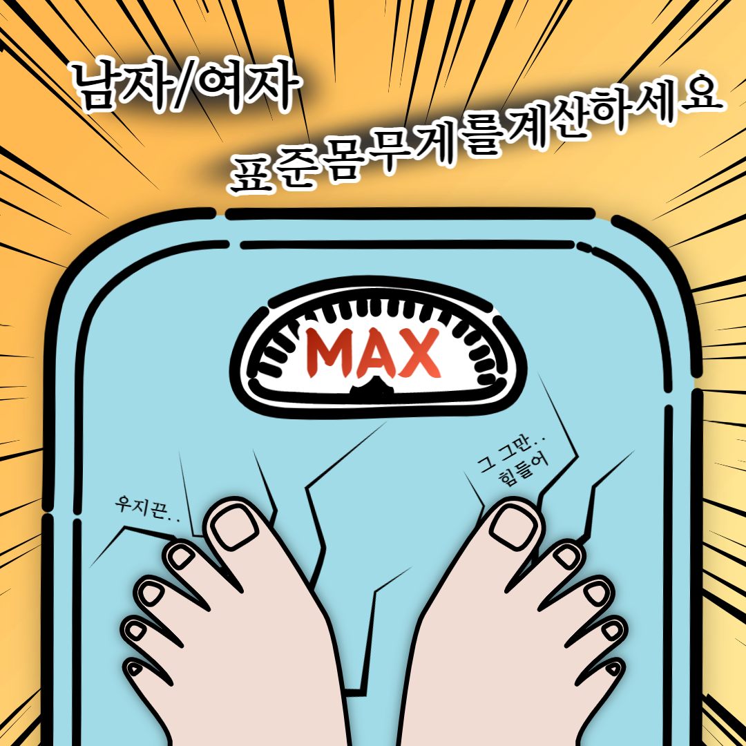  남자/여자 표준 정상 체중 계산기