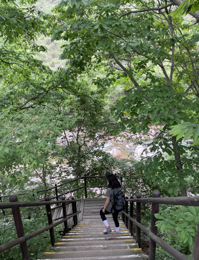 여름산으로 추천하는 괴산 칠보산(778m) 숲속을 거니는 듯 시원해 48